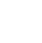 pl-ico